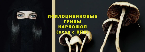 ECSTASY Сосновоборск