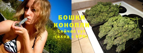 соль ск Сосновка